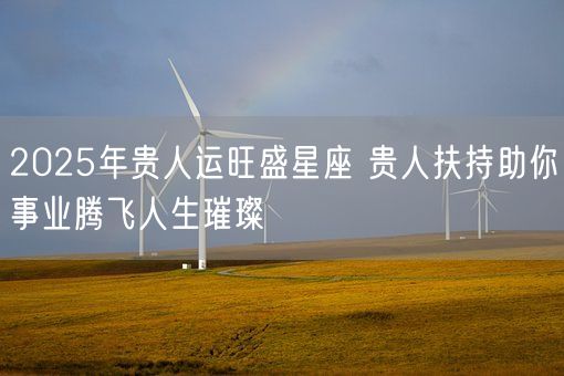 2025年贵人运旺盛星座 贵人扶持助你事业腾飞人生璀璨(图1)