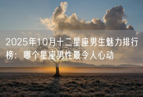 2025年10月十二星座男生魅力排行榜:哪个星座男性最令人心动(图1) 2025年10月十二星座男生魅力排行榜:哪个星座男性最令人心动(图1)