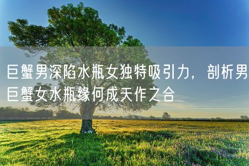 巨蟹男深陷水瓶女独特吸引力，剖析男巨蟹女水瓶缘何成天作之合(图1)