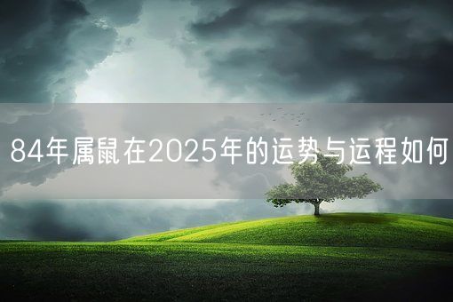 84年属鼠在2025年的运势与运程如何(图1)