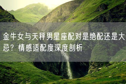 金牛女与天秤男星座配对是绝配还是大忌？情感适配度深度剖析(图1)