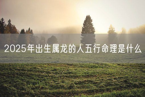 2025年出生属龙的人五行命理是什么(图1)