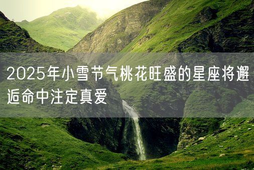 2025年小雪节气桃花旺盛的星座将邂逅命中注定真爱(图1)