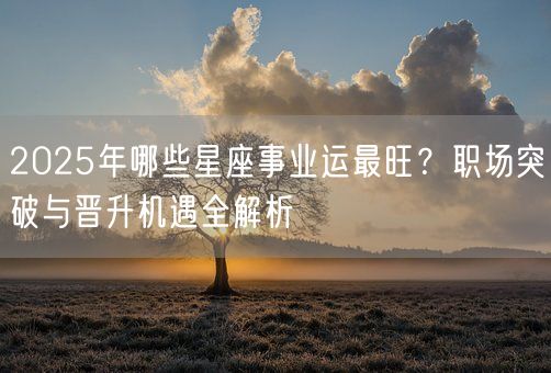 2025年哪些星座事业运最旺？职场突破与晋升机遇全解析(图1)
