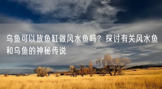 乌鱼可以放鱼缸做风水鱼吗？探讨有关风水鱼和乌鱼的神秘传说(图1)