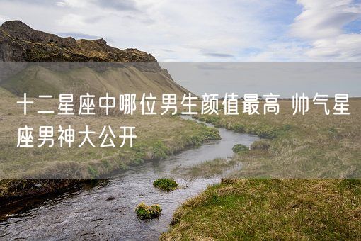 十二星座中哪位男生颜值最高 帅气星座男神大公开(图1) 十二星座中哪位男生颜值最高 帅气星座男神大公开(图1)