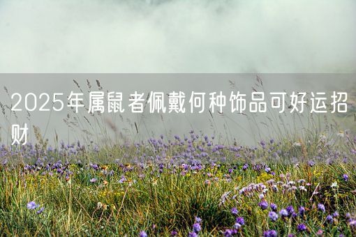 2025年属鼠者佩戴何种饰品可好运招财(图1) 2025年属鼠者佩戴何种饰品可好运招财(图1)