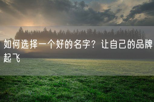 如何选择一个好的名字?让自己的品牌起飞(图1) 如何选择一个好的名字?让自己的品牌起飞(图1)