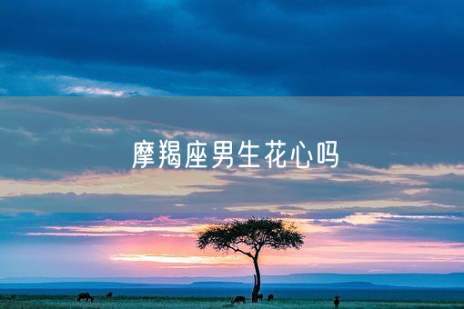 摩羯座男生花心吗(图1)