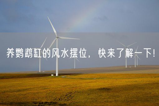 养鹦鹉缸的风水摆位,快来了解一下!(图1) 养鹦鹉缸的风水摆位,快来了解一下!(图1)