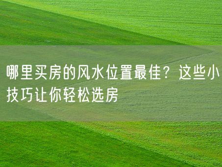 哪里买房的风水位置最佳？这些小技巧让你轻松选房(图1)