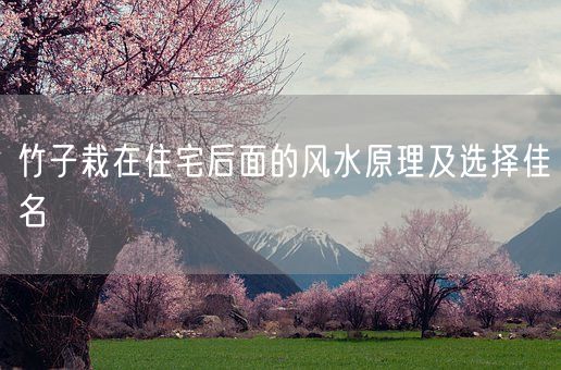 竹子栽在住宅后面的风水原理及选择佳名(图1) 竹子栽在住宅后面的风水原理及选择佳名(图1)