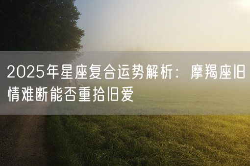 2025年星座复合运势解析：摩羯座旧情难断能否重拾旧爱(图1)