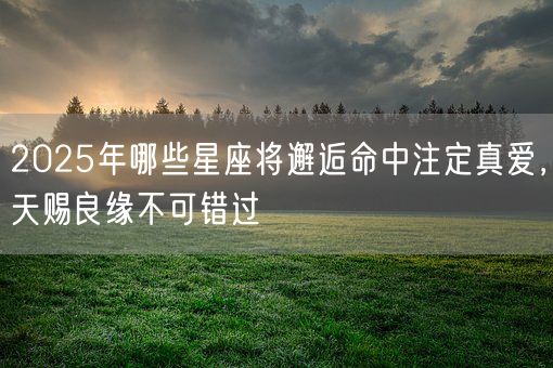 2025年哪些星座将邂逅命中注定真爱,天赐良缘不可错过(图1) 2025年哪些星座将邂逅命中注定真爱,天赐良缘不可错过(图1)