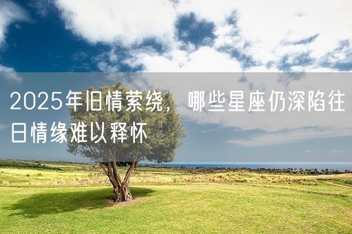 2025年旧情萦绕，哪些星座仍深陷往日情缘难以释怀(图1)