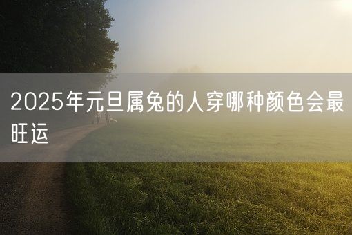 2025年元旦属兔的人穿哪种颜色会最旺运(图1) 2025年元旦属兔的人穿哪种颜色会最旺运(图1)