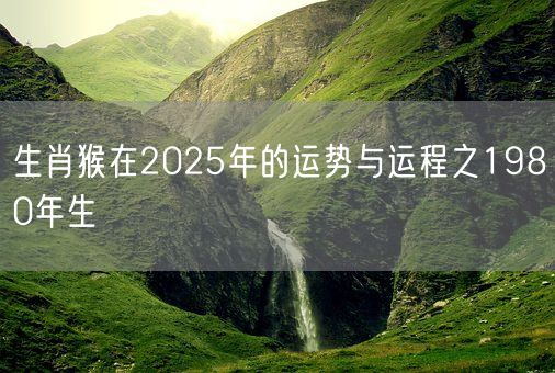 生肖猴在2025年的运势与运程之1980年生(图1)