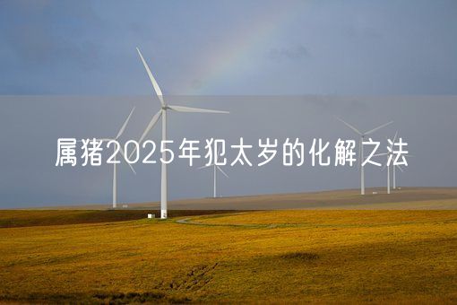 属猪2025年犯太岁的化解之法(图1) 属猪2025年犯太岁的化解之法(图1)