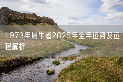 1973年属牛者2025年全年运势及运程解析(图1) 1973年属牛者2025年全年运势及运程解析(图1)