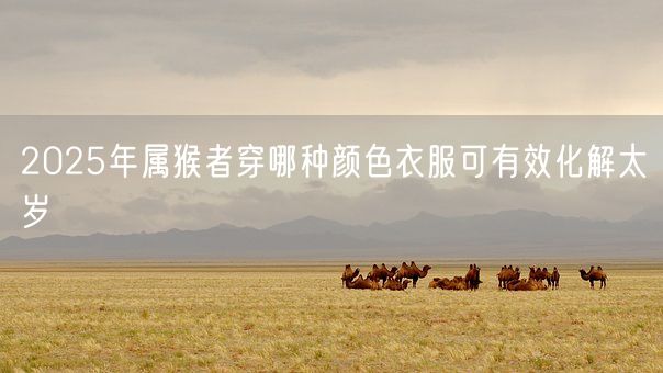 2025年属猴者穿哪种颜色衣服可有效化解太岁(图1) 2025年属猴者穿哪种颜色衣服可有效化解太岁(图1)