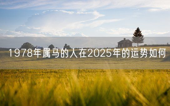 1978年属马的人在2025年的运势如何(图1) 1978年属马的人在2025年的运势如何(图1)