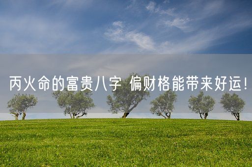 丙火命的富贵八字 偏财格能带来好运!(图1) 丙火命的富贵八字 偏财格能带来好运!(图1)