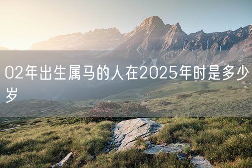 02年出生属马的人在2025年时是多少岁(图1)