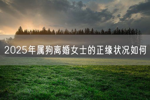 2025年属狗离婚女士的正缘状况如何(图1)