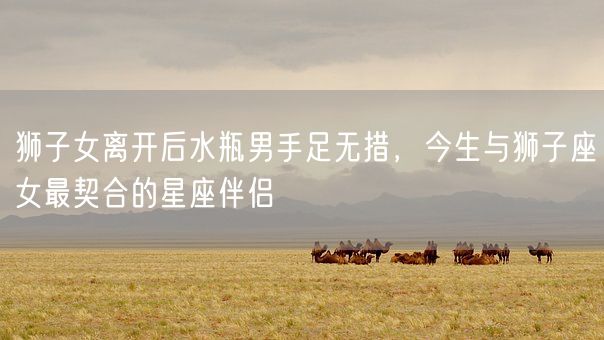 狮子女离开后水瓶男手足无措,今生与狮子座女最契合的星座伴侣(图1) 狮子女离开后水瓶男手足无措,今生与狮子座女最契合的星座伴侣(图1)