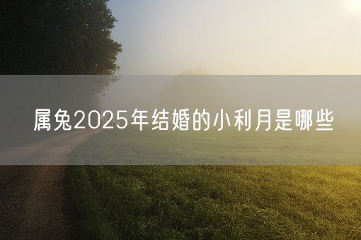 属兔2025年结婚的小利月是哪些(图1) 属兔2025年结婚的小利月是哪些(图1)