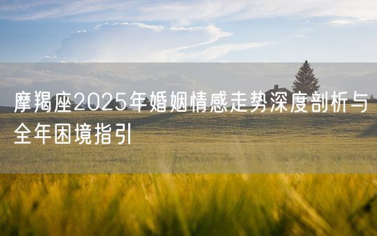 摩羯座2025年婚姻情感走势深度剖析与全年困境指引(图1)