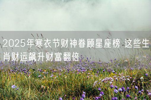 2025年寒衣节财神眷顾星座榜 这些生肖财运飙升财富翻倍(图1)