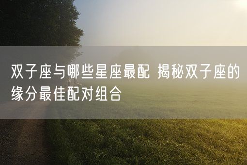 双子座与哪些星座最配 揭秘双子座的缘分最佳配对组合(图1)