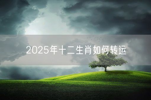 2025年十二生肖如何转运(图1)