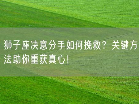 狮子座决意分手如何挽救?关键方法助你重获真心!(图1) 狮子座决意分手如何挽救?关键方法助你重获真心!(图1)