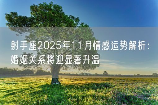 射手座2025年11月情感运势解析:婚姻关系将迎显著升温(图1) 射手座2025年11月情感运势解析:婚姻关系将迎显著升温(图1)