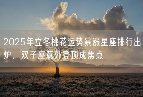 2025年立冬桃花运势暴涨星座排行出炉,双子座意外登顶成焦点(图1) 2025年立冬桃花运势暴涨星座排行出炉,双子座意外登顶成焦点(图1)