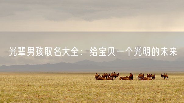 光辈男孩取名大全:给宝贝一个光明的未来(图1) 光辈男孩取名大全:给宝贝一个光明的未来(图1)