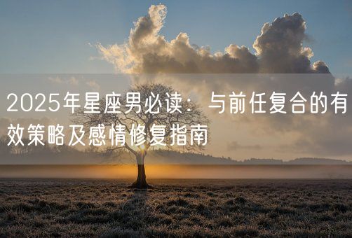 2025年星座男必读:与前任复合的有效策略及感情修复指南(图1) 2025年星座男必读:与前任复合的有效策略及感情修复指南(图1)