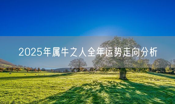 2025年属牛之人全年运势走向分析(图1)