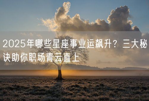 2025年哪些星座事业运飙升？三大秘诀助你职场青云直上(图1)