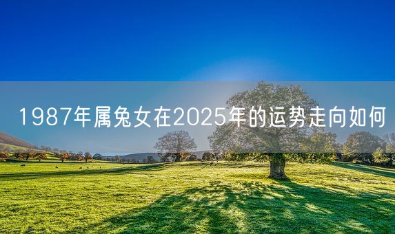 1987年属兔女在2025年的运势走向如何(图1)