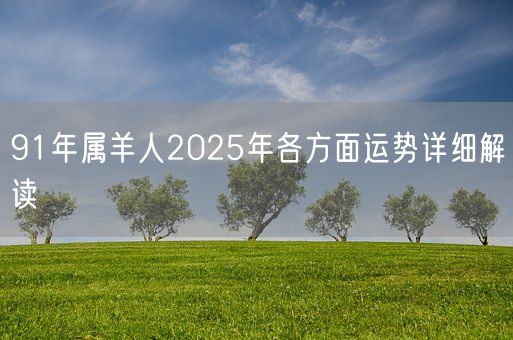 91年属羊人2025年各方面运势详细解读(图1)