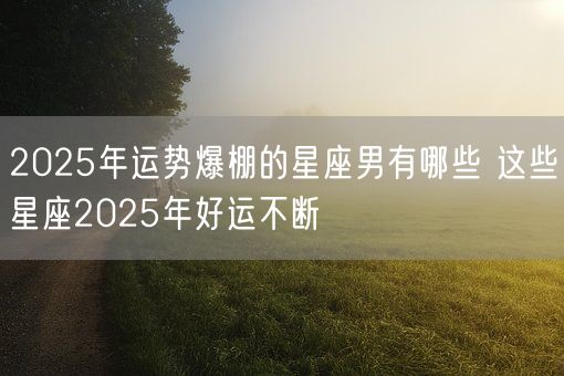 2025年运势爆棚的星座男有哪些 这些星座2025年好运不断(图1)