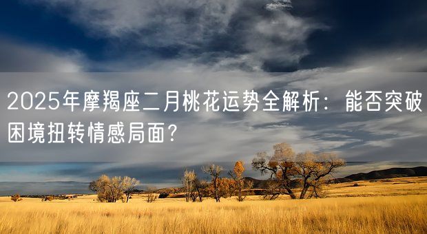 2025年摩羯座二月桃花运势全解析：能否突破困境扭转情感局面？(图1)