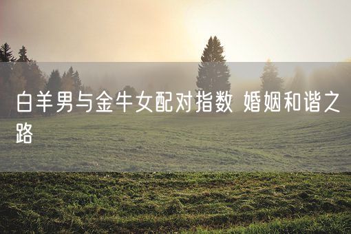 白羊男与金牛女配对指数 婚姻和谐之路(图1)