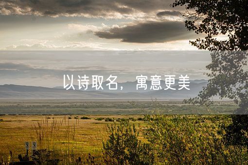 以诗取名,寓意更美(图1) 以诗取名,寓意更美(图1)