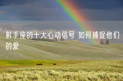 射手座的十大心动信号 如何捕捉他们的爱(图1)