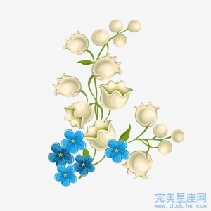 生肖鼠那个月出生的命最好