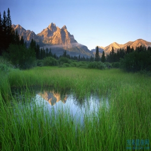 心思细腻洞察力强的生肖有哪些
